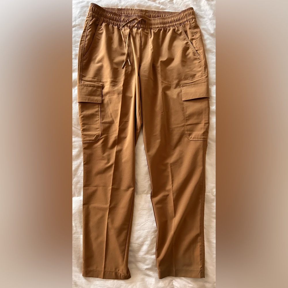 Womens North Face 'Never Stop Wearing Cargo Pants' in Utility Brown, size M